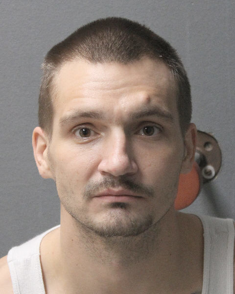 Ryan Johnson mugshot